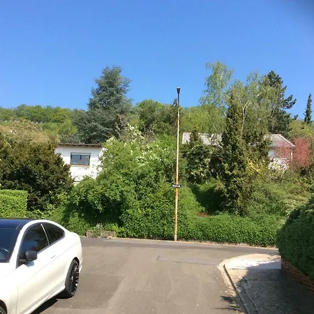 Wenzel Apartament
